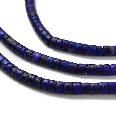 Natural Lapis Lazuli Beads Strands G-Z074-C01-1
