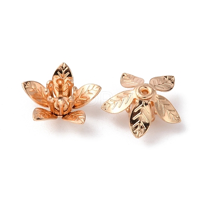 5-Petal Brass Bead Cap KK-WH0062-59KCG-1