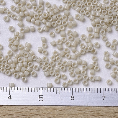 MIYUKI Delica Beads X-SEED-J020-DB0261-1