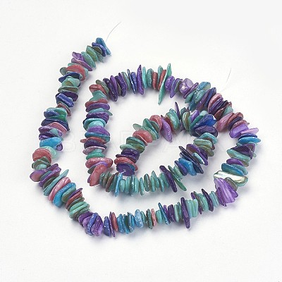 Natural Shell Beads Strands X-PBB226Y-4-1