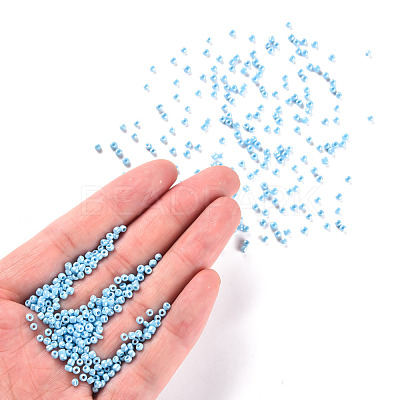 (Repacking Service Available) Glass Seed Beads SEED-C021-2mm-123-1