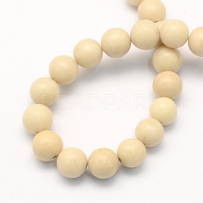 Natural Fossil Round Beads Strands G-S171-6mm-1
