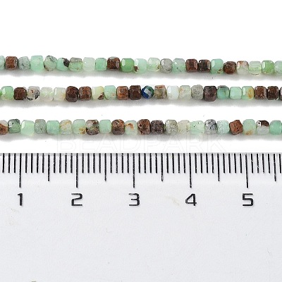Natural Chrysoprase Beads Strands G-P514-B03-01-1