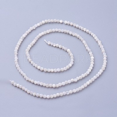 Shell Beads Strands G-F619-27-2mm-1