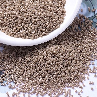 MIYUKI Delica Beads X-SEED-J020-DB2105-1