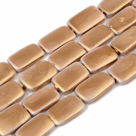 Electroplate Natural Freshwater Shell Beads Strands SHEL-R049-027A-1