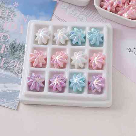 Rainbow Color Acrylic Beads OACR-I011-08-1