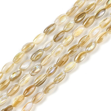 Natural Freshwater Shell Beads Strands BSHE-G036-03-1