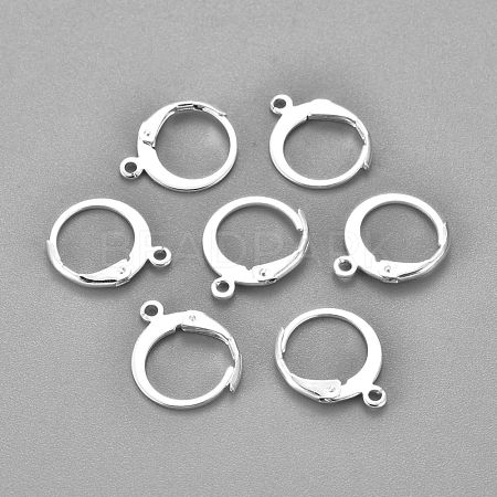 304 Stainless Steel Leverback Earring Findings STAS-F155-13S-1