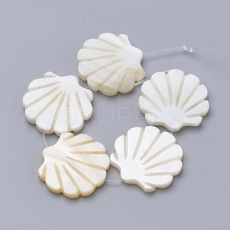 Natural Freshwater Shell Beads X-SHEL-T007-03-1