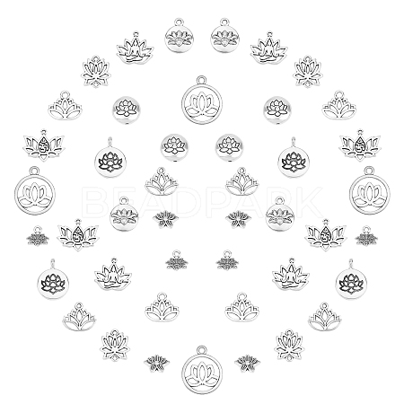 Tibetan Style Alloy Pendants & Links Connectors & Beads TIBEP-SC0001-53AS-1