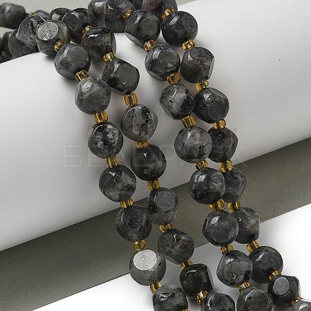 Natural Larvikite Beads Strands G-K387-A02-02-1
