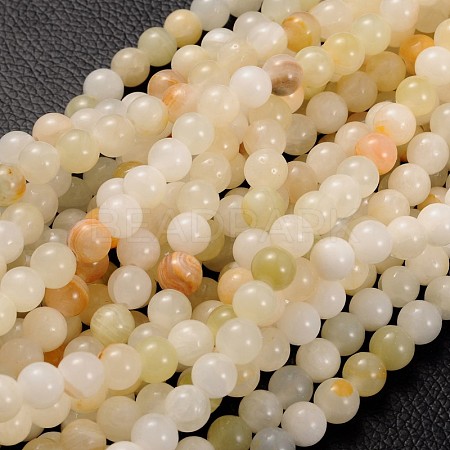 Natural Gemstone Beads Strands GSR008-1