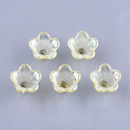 Transparent Acrylic Bead Caps LS-TACR-T007-04B-1
