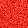 11/0 FGB Grade A Round Glass Seed Beads SEED-N001-A-1068-2