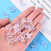 Transparent Acrylic Beads MACR-S373-105-B02-6