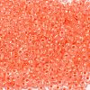 12/0 Transparent Glass Seed Beads SEED-F003-03C-11-3