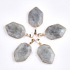 Natural Labradorite Pendants G-S344-12C-1
