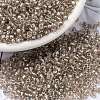 MIYUKI Round Rocailles Beads X-SEED-G008-RR3731-1