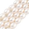 Natural Cultured Freshwater Pearl Beads Strands PEAR-P062-10F-2