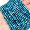 Natural Apatite Beads Strands G-Z057-B02-02-1