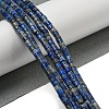 Natural Lapis Lazuli Beads Strands G-C084-D12-02-2