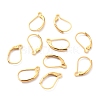 304 Stainless Steel Leverback Earring Findings X-STAS-K233-04G-2
