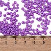 8/0 Baking Paint Glass Seed Beads SEED-M012-02A-40-4