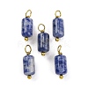 Natural Sodalite Cloumn Pendants STAS-H221-04G-06-1
