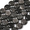 Natural Silver Sheen Obsidian Beads Strands G-L648-B23-15mm-02-3
