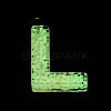 Luminous Resin Pendants RESI-I059-L01-3
