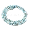 Natural Larimar Beads Strands G-K376-A03-4mm-3