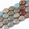 Natural Aqua Terra Jasper Beads Strands G-S366-015A-1