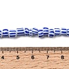 Handmade Lampwork Beads Strands BLOW-K001-01A-10-8