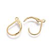 304 Stainless Steel Leverback Earring Findings LS-X-STAS-L221-09G-2