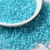 12/0 Transparent Glass Seed Beads X-SEED-F003-03C-10-1