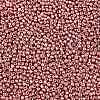 8/0 Glass Seed Beads X-SEED-A017-3mm-1108-2