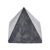 Natural Shungite Home Display Decorations G-F675-22-2