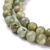 Natural Idocrase Beads Strands G-N165-7-2