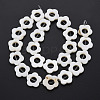 Freshwater Shell Beads Frames Strands SHEL-T009-14A-3