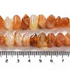 Natural Botswana Agate Beads Strands G-D091-A23-5