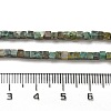 Natural African Turquoise(Jasper) Beads Strands G-B064-A13-5