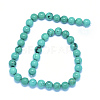 Natural Howlite Beads Strands TURQ-P027-32-12mm-2