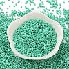 Baking Paint Glass Seed Beads X-SEED-S042-05B-60-2