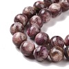 Natural Lepidolite/Purple Mica Stone Beads Strands G-G925-02A-4