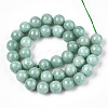 Natural Myanmar Jade/Burmese Jade Beads Strands X-G-T064-22-10mm-2