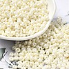 Baking Paint Luster Glass Seed Beads X1-SEED-B001-04A-11-1
