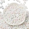 Glass Seed Beads SEED-L011-03A-15-2