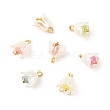Spray Painted ABS Plastic Imitation Pearl Charms PALLOY-JF01603-04-1