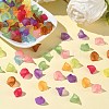 Transparent Acrylic Beads PL622M-5